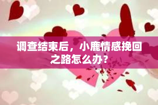 调查结束后，小鹿情感挽回之路怎么办？