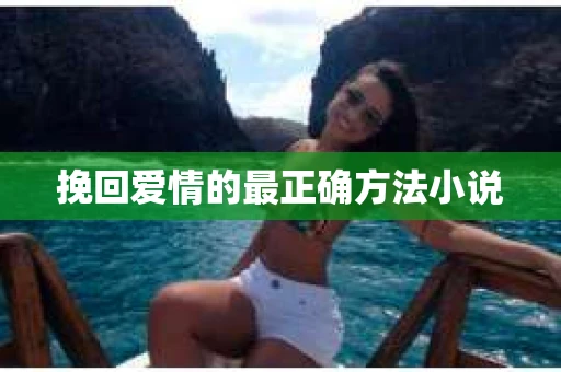 挽回爱情的最正确方法小说