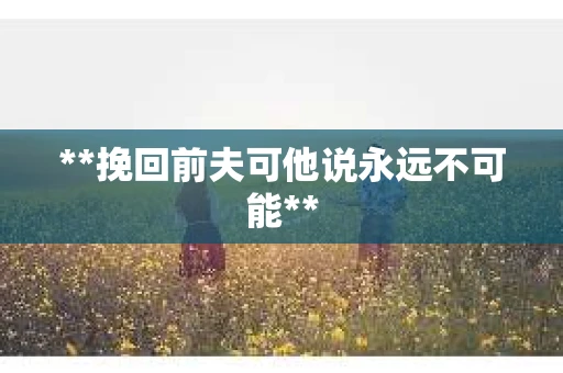 **挽回前夫可他说永远不可能**