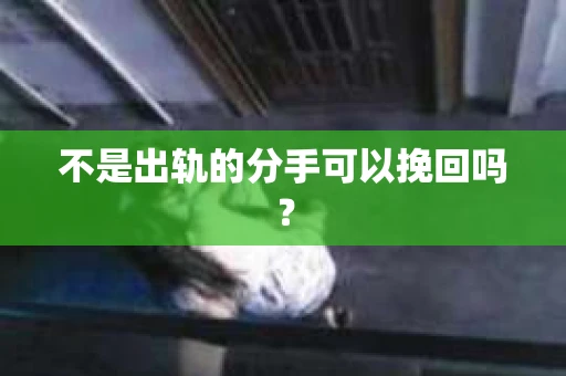 不是出轨的分手可以挽回吗？