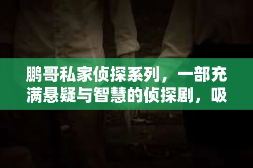 鹏哥私家侦探系列，一部充满悬疑与智慧的侦探剧，吸引了无数观众的眼球。今天，就让我带你走进这个充满神秘色彩的侦探世界，一起在线观看鹏哥私家侦探系列，感受那扣人心弦的故事情节。