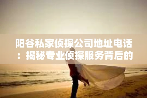 阳谷私家侦探公司地址电话：揭秘专业侦探服务背后的故事
