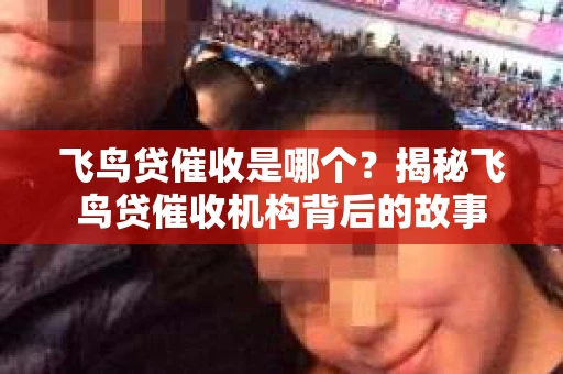 飞鸟贷催收是哪个？揭秘飞鸟贷催收机构背后的故事