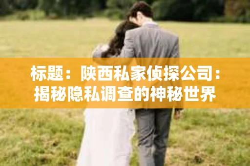 标题:陕西私家侦探公司:揭秘隐私调查的神秘世界 标题:陕西私家侦探公司:揭秘隐私调查的神秘世界