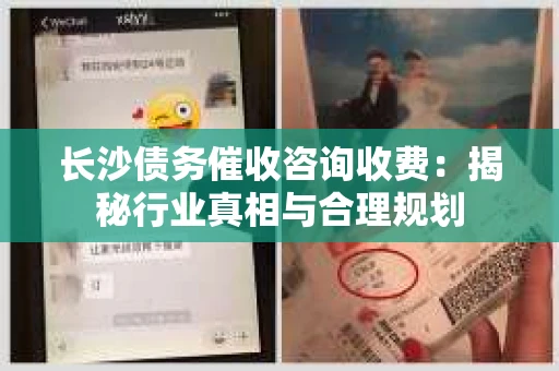 长沙债务催收咨询收费:揭秘行业真相与合理规划 长沙债务催收咨询收费:揭秘行业真相与合理规划