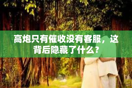 高炮只有催收没有客服，这背后隐藏了什么？