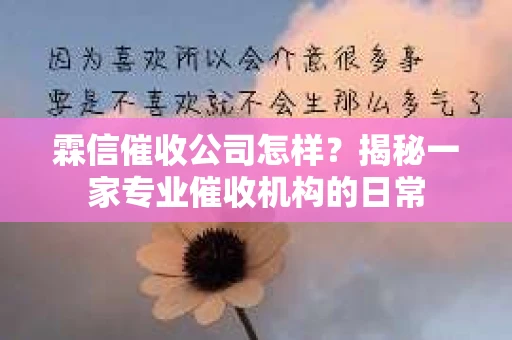 霖信催收公司怎样？揭秘一家专业催收机构的日常