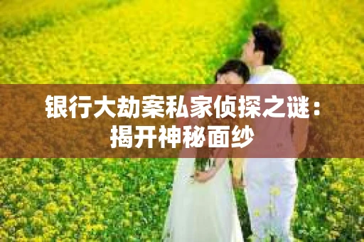 银行大劫案私家侦探之谜：揭开神秘面纱