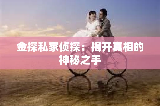 金探私家侦探：揭开真相的神秘之手