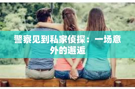 警察见到私家侦探：一场意外的邂逅