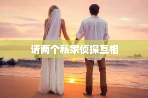 请两个私家侦探互相