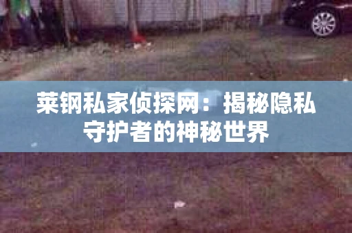 莱钢私家侦探网：揭秘隐私守护者的神秘世界