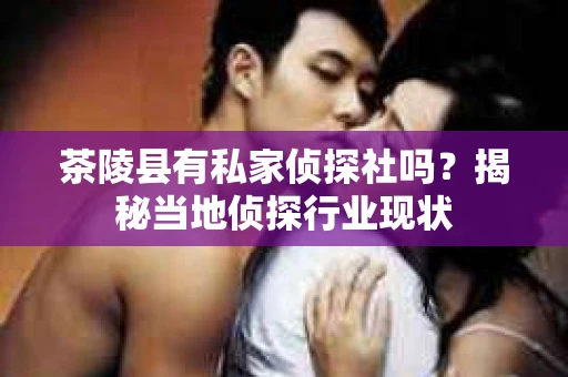 茶陵县有私家侦探社吗？揭秘当地侦探行业现状