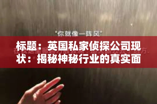 标题：英国私家侦探公司现状：揭秘神秘行业的真实面貌