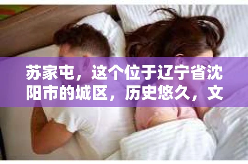 苏家屯，这个位于辽宁省沈阳市的城区，历史悠久，文化底蕴深厚。近年来，随着社会的发展，人们对于私家侦探的需求也逐渐增加。那么，苏家屯有私家侦探吗？今天，我们就来聊聊这个话题。