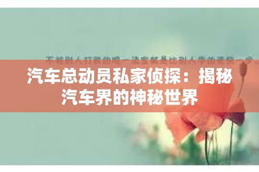 汽车总动员私家侦探：揭秘汽车界的神秘世界