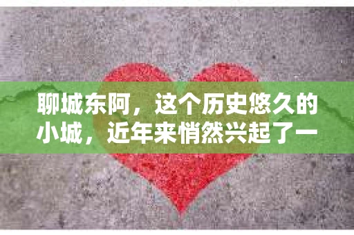 聊城东阿，这个历史悠久的小城，近年来悄然兴起了一股新的服务潮流——私家侦探。今天，我们就来聊聊这个话题，看看在聊城东阿，私家侦探是如何成为人们生活中的一部分的。