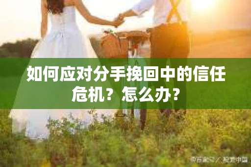 如何应对分手挽回中的信任危机？怎么办？