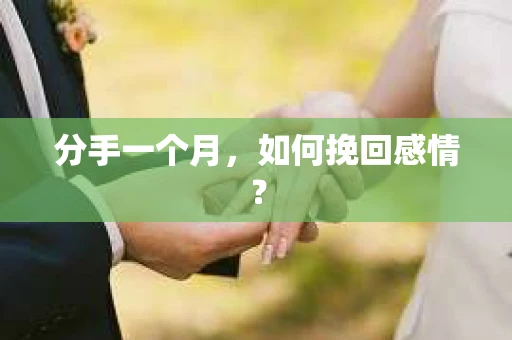 分手一个月,如何挽回感情? 分手一个月,如何挽回感情?