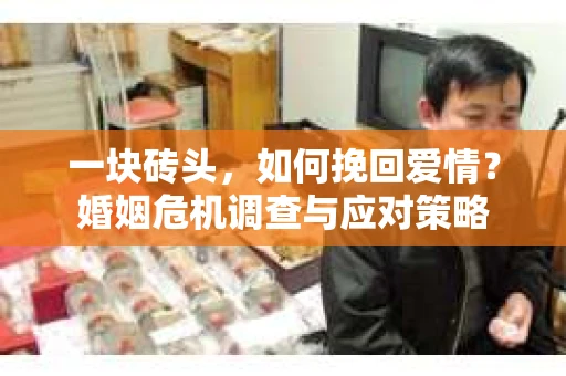 一块砖头，如何挽回爱情？婚姻危机调查与应对策略