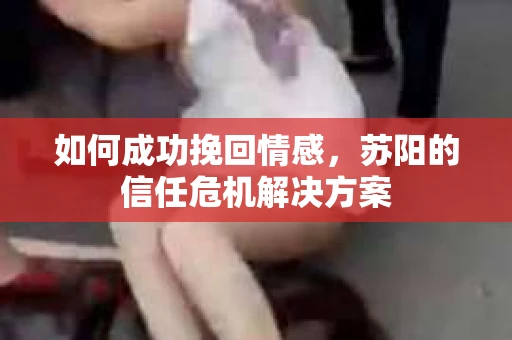 如何成功挽回情感,苏阳的信任危机解决方案 如何成功挽回情感,苏阳的信任危机解决方案