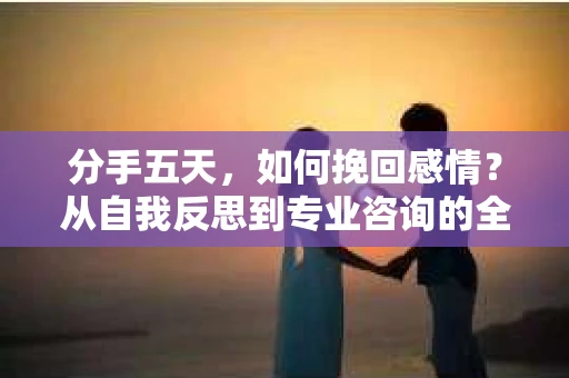 分手五天，如何挽回感情？从自我反思到专业咨询的全面解决方案
