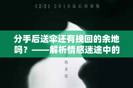 分手后送伞还有挽回的余地吗？——解析情感迷途中的决策