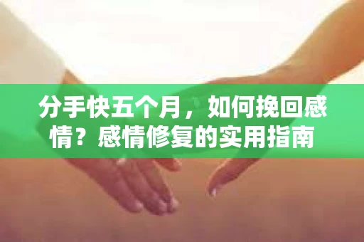 分手快五个月，如何挽回感情？感情修复的实用指南