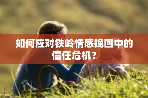 如何应对铁岭情感挽回中的信任危机？